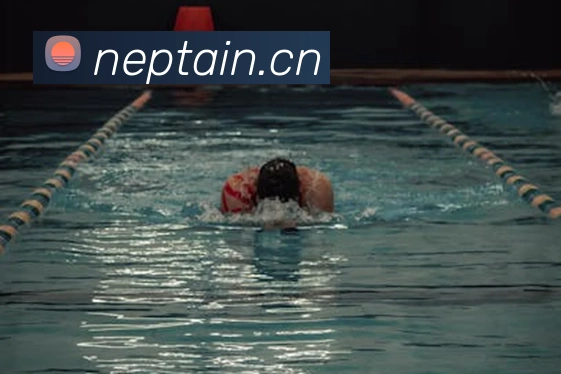 星空官方网站发展历程